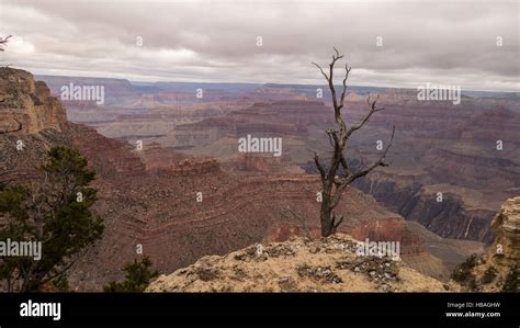 The Grand Canyon National Park In Arizona Stock Photo Alamy