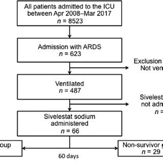 PDF Evaluation Of Appropriate Indications For The Use Of Sivelestat