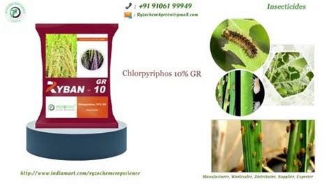 Granules Insecticides Chlorpyriphos 1 5 DP Proton 1 Kg At Best