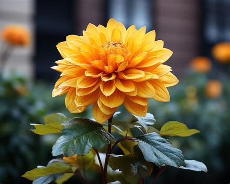 Premium Photo A Large Yellow Flower In Front Of A Building