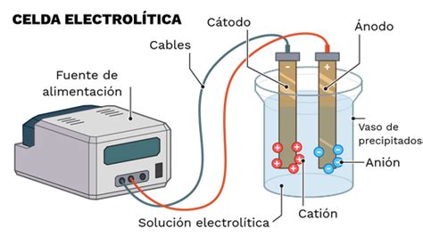 Electr Lisis Labster Theory