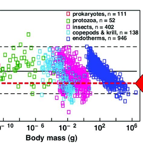 Illustration Of The Biodiversity Gradient Dependence On Latitude On Download Scientific