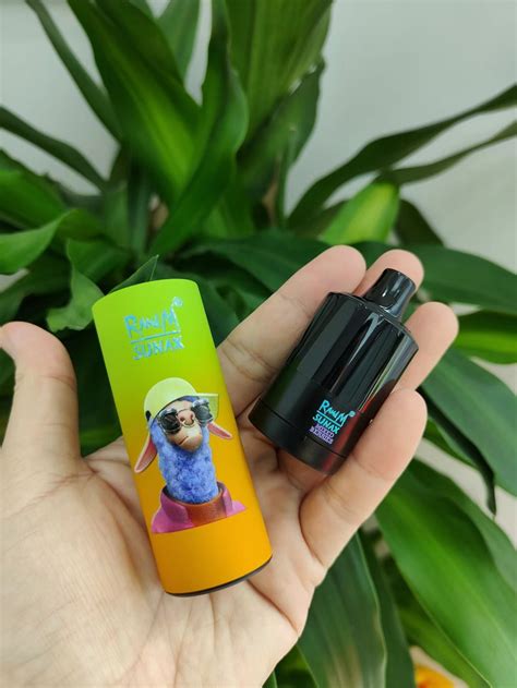 Sunax Puffs R And M Disposable Vape Pen Randm Sunax Puff Vape