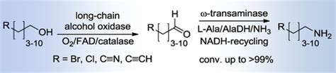 Amination Of ω‐functionalized Aliphatic Primary Alcohols By A