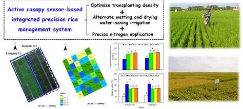 Remote Sensing Free Full Text Developing An Active Canopy Sensor