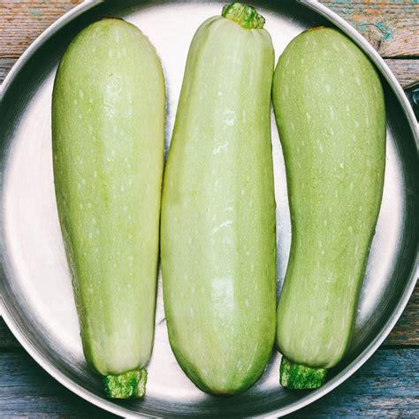 Zucchini Italian Light Green Seeds The Seed Collection