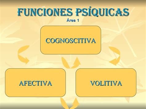 Funciones Psíquicas PPT