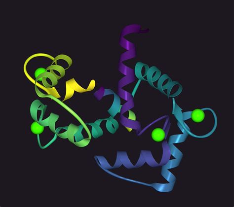 Ribbon Diagrams On Twitter 3EWT Crystal Structure Of Calmodulin