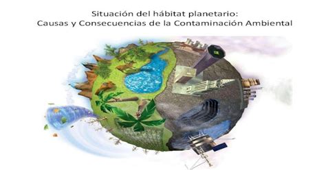 Pdf Situación Del Hábitat Planetario Causas Y Consecuencias De La