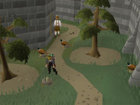 Forestry Osrs Wiki