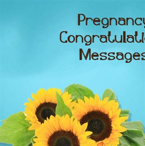 Congratulation Messages Wishes Funzumo