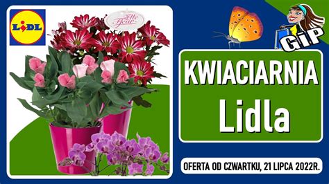 Lidl Oferta Od Czwartku Kwiaciarnia Lidla Youtube