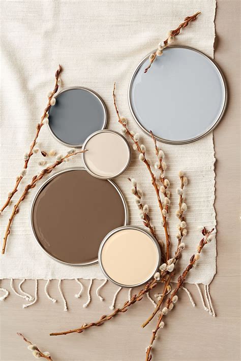 Inspired By Nature Color Palettes For A Beautiful Home Interior