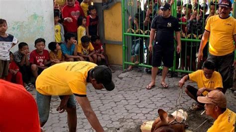 Kurniawan Yudha Salurkan Hewan Kurban Ke Masjid Dan Musala Di Waru