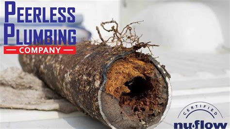 Practical Sewer Line Cleaning Tips