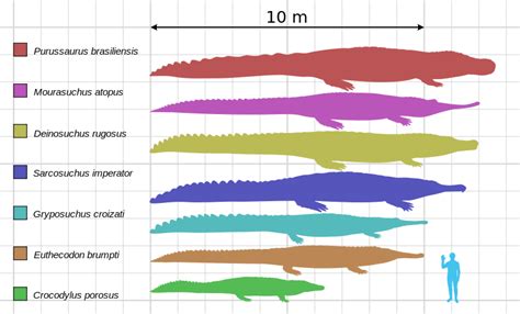 Descubren Una Nueva Especie De Cocodrilo Acorazado El Rastreador De