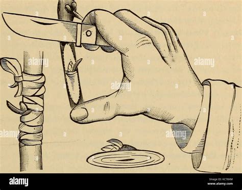 Guia Practica Fotografías E Imágenes De Alta Resolución Alamy