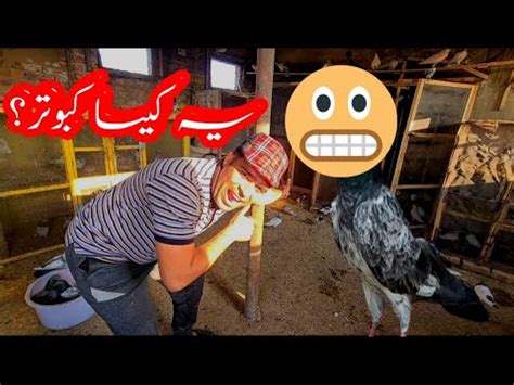 Darbi Say Ka Kabotar Milla Lakh Waly Farmaishi Jora Youtube