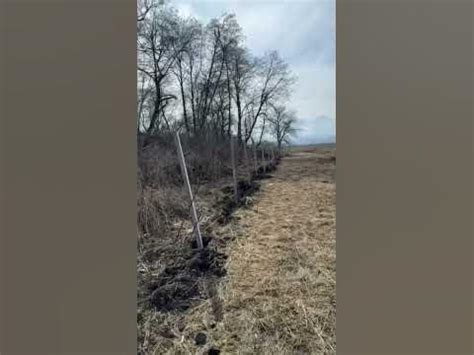 Ограждение сада от животных - YouTube