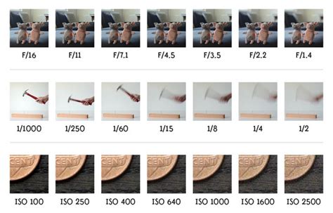 Shutter Speed Chart And Tips On How To Master It Borrowlenses Blog