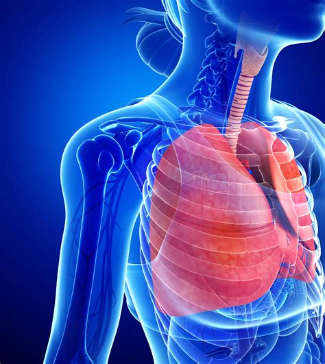 Pleural Disorders | Pleurisy | Pleural Effusion | MedlinePlus