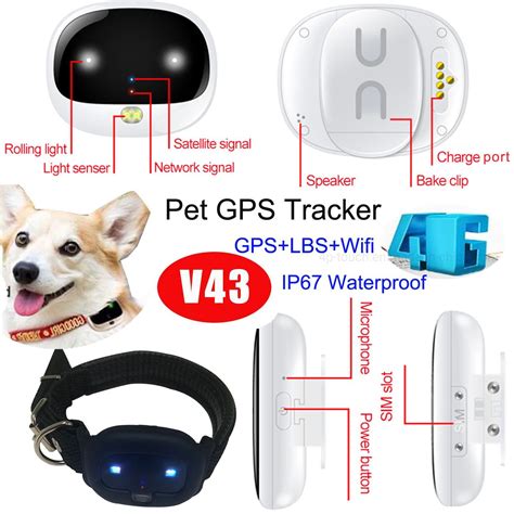 China Factory Quality Ip Waterproof G Pets Gps Navigator Tracker For