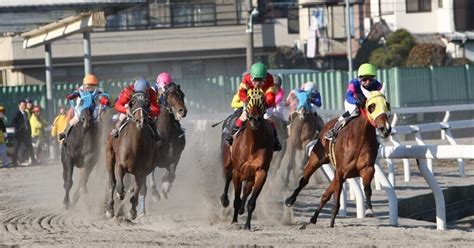 【🎯的中祭り】91金浦和12rの予想【絶好超💯】｜三毛猫アイルランド競馬予想家