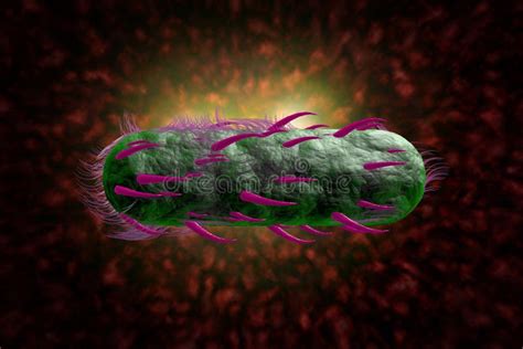 E Coli Bacteria Cells D Illustration Stock Illustration Illustration