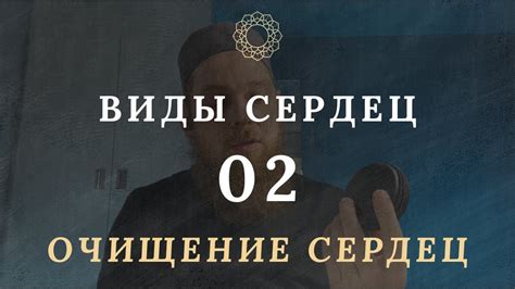 Виды сердец. И почему человек перестает отличать истину от заблуждения ...