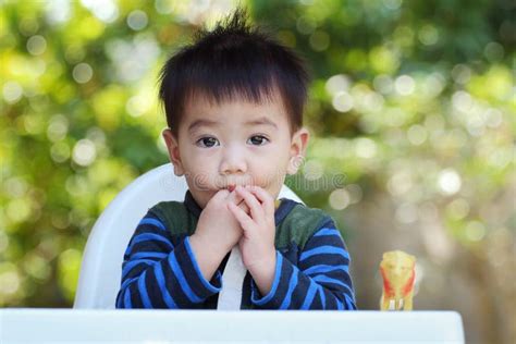 Asian Baby Stock Image Image Of Cute Healthy Babe