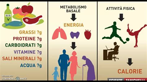 Il Fabbisogno Energetico Youtube