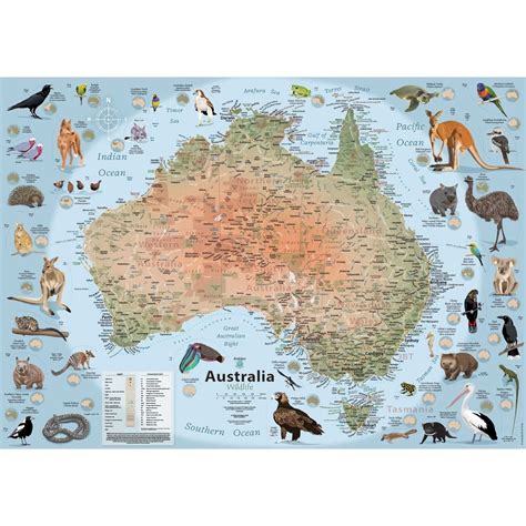 Illustrated Map of Australia Wildlife - Etsy