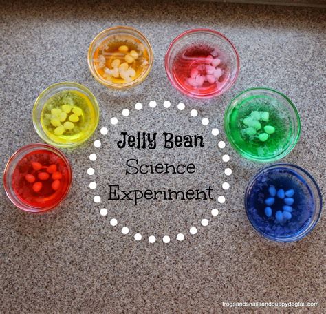 Creative Ways To Play Craft And More With Jelly Beans Fspdt