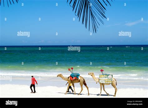 Diani Reef Resort Kenya Stock Photo Alamy