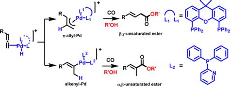 Ligand Controlled Palladium Catalyzed Alkoxycarbonylation Of Allenes