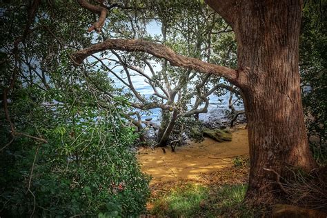 Riverbank Yellow Sands Blue Water Hermit Pilgrim Flickr