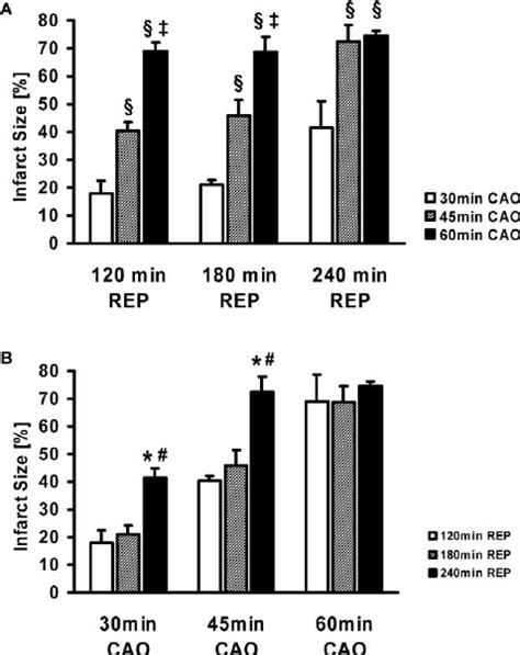 Infarct Size As A Percentage Of The Area At Risk At Various Durations