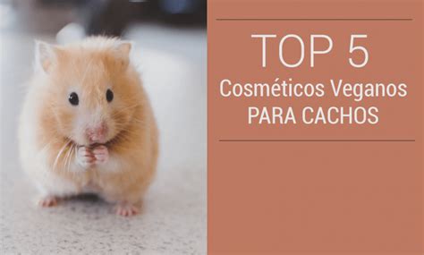 Top Cosm Ticos Veganos Para Cachos Belezasemcrueldade Cacheia