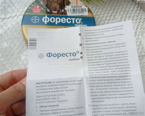 Ошейник Форесто для собак: инструкция по применению, цена, отзывы