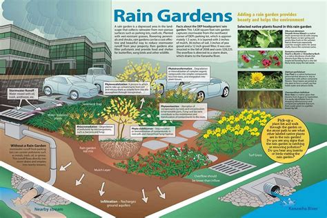 Rain Garden Resources