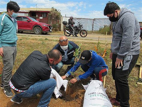 M S De Rboles Nativos Fueron Plantados En Plaza El Santo De Tom