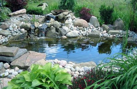 Come Costruire Un Laghetto Da Giardino Idee Green Fish Pond Gardens