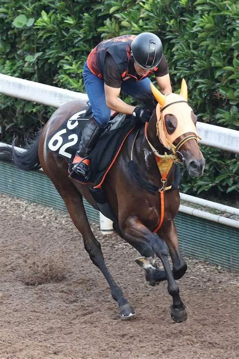 【ローズs】高野厩舎2週連続重賞vへ！セントカメリアで狙う 中京芝2000は得意舞台 スポニチ競馬web