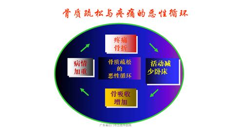 骨质疏松症的预防与治疗 好医术早读文章 好医术 赋能医生守护生命