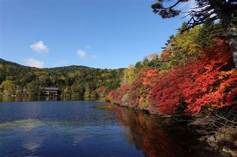 子連れ 白駒池・ニュウ・高見石 にこりたちさんの八ヶ岳（赤岳・硫黄岳・天狗岳）の活動日記 Yamap ヤマップ