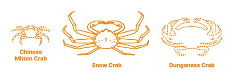 Snow Crab Chionoecetes Opilio Dimensions And Drawings