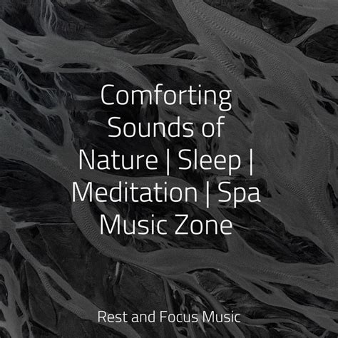 Comforting Sounds Of Nature Sleep Meditation Spa Music Zone