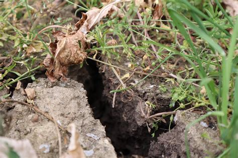 Trockenheit Wird Für Die Landwirtschaft Zum Problem