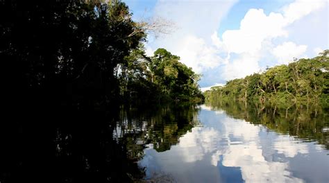 Parque Nacional Natural La Paya Parques Nacionales Naturales De Colombia