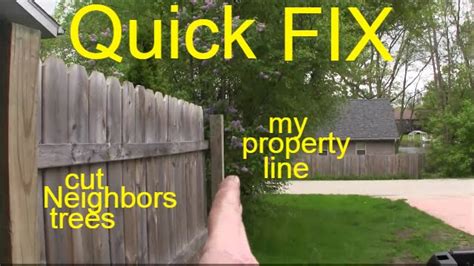 How To Cut Trees On Property Line Youtube